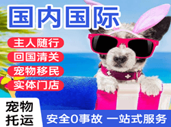 梅州梅县航空空运国际宠物托运 【国